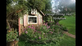 The Cottage Potting Shed/ Herbarium  "Once Upon a Potting Shed"