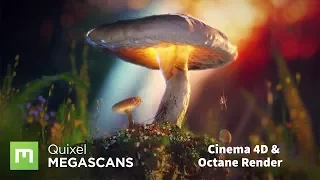 How to create scenes using Megascans with Octane and Cinema 4D