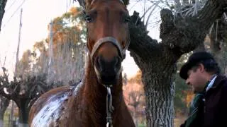 Hombres de a caballo, de regreso a casa / Televisión Pueblerina.