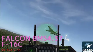 【FALCON BMS 4.37】F-16 vs PLA J-11 ACM
