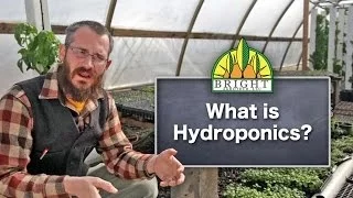 What is Hydroponics