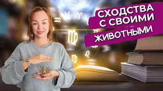 Сходства с Тотемными животными / Похожи ли вы на своих знаков зодиака? Ева Мытнык