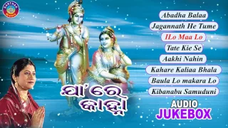 Jaare Kanha Odia Krushna Bhajans Full Audio Songs Juke Box || Namita Agrawal || Sarthak Music