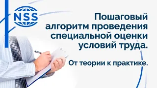 Пошаговый алгоритм проведения специальной оценки условий труда. От теории к практике