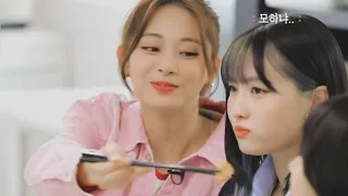 Tzuyu does not feed Momo 😭😂