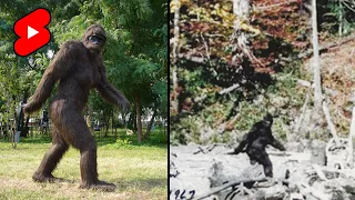 What Was The Infamous 'Patterson-Gimlin' Film? #shorts