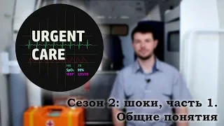 Шоки, часть 1. Общие понятия