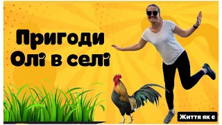 Чи подіє лайфхак проти колорадських жуків?  🪲