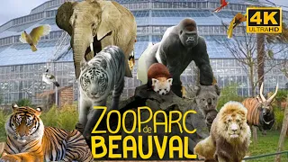 Zoo Parc De Beauval - France 🇫🇷-May 2022 - 4K - HDR 60fps Walking Tour (Part 1) | A Walk In Paris