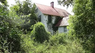 Land Clearing on our Abandoned 120 year old Farm House