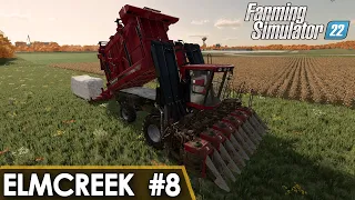 Elmcreek #8 - Sunflower & Cotton Harvesting Contracts - Farming Simulator 22 Timelapse