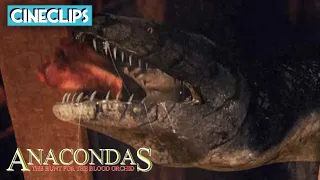 Eaten Alive By Anaconda | Anacondas: The Hunt For The Blood Orchid