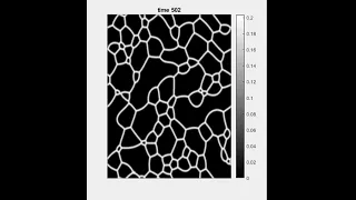 Phase-field simulation for grain growth