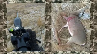 300 Yard Off-Hand Killshot | 7mm mag Rifle | Whitetail Deer Hunting | Doe |