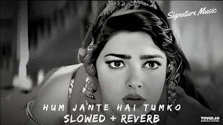 Hum Jante Hai Tum Hame Barbad Karogi (Slowed-Reverb) Alka Yagnik Bollywood 90's Hits Songs