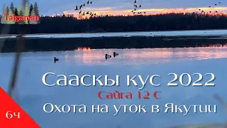 RUS|ENG Охота на уток в Якутии | Охота с Сайга 12 | Сааскы кус 2022 Сезон сабыы | Solo Duck Hunting