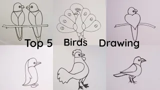 Top 5 birds drawing easy step@Aarav Drawing Creative