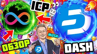 DASH ICP НИЧЕГО НЕ ОСТАНОВИТ В ЭТОМ ЦИКЛЕ ! МОНЕТЫ С ХОРОШЕЙ ДИНАМИКОЙ УЖЕ НА СТАРТЕ! УСПЕЙ!🚀😱🚨