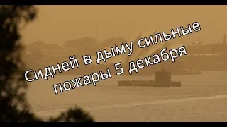 Сидней в дыму из за лесныых пожаров реальные кадры