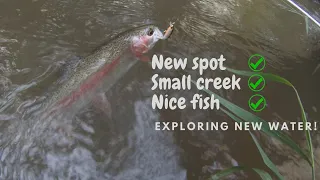 I found the best creek in Victoria? Unexpected catch Trout fishing #trout #creek #spinning