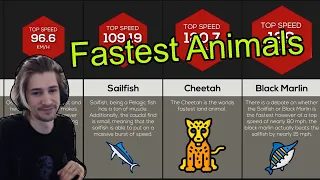 xQc Reacts To Animal Speed Comparison and Human Pleasures - With Chat