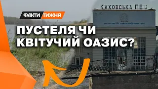 Каховської ПУСТЕЛІ НЕ БУДЕ? Чи відродиться легендарний Великий Луг? ЕКСКЛЮЗИВ З ПІВДНЯ