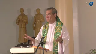 Pride, A Useless Baggage - Homily By Fr Jerry Orbos SVD July 5, 2020 14th Sunday in Ordinary Time