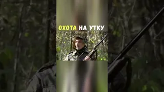 Охота на Утку | Приколы Охота Рыбалка Туризм | Тик Ток #Shorts