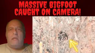 MASSIVE BIGFOOT CAUGHT ON CAMERA. REACTION!! #genesreviews #Sasquatch  @NvTvBigfoot