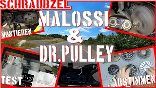 Malossi Multivar🙈 & Riemenscheibe🙉 mit Dr. Pulley 🙊im Honda Forza