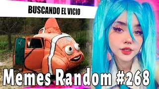 Itsmidnaa reacciona Memes Random 81 || MEMES RANDOM #268 ||