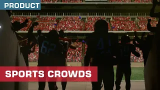 Sports Crowds Stock Footage Now Available | ActionVFX