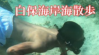 【石垣島】白保海岸海散歩・石垣島シュノーケル