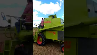 Claas Compact 30, Żniwa 2017, Jęczmień