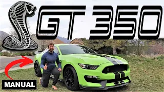 The Last Shelby GT350 Mustang: Why I Bought This And Will Never Sell It