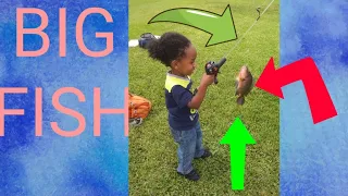 little boy catches huge bass, 3 year old catches first fish