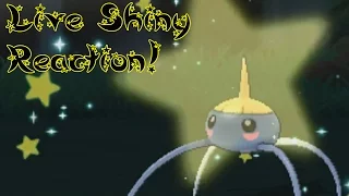 Live Shiny Reaction: Surskit