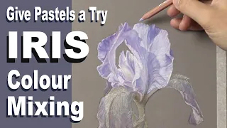 Pastel are fun to use... give them a try ~ Iris flower painting Part 1. Narrated Tutorial.