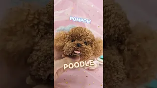 Pompom Poodle #pompom #pompomanimal #poodle #diy #shorts