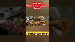 🔥Как сделать приваду на окуня ловля окуня #рыбалка #окунь #рыбакчудак