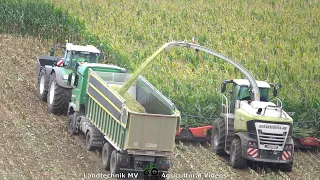 Claas - Fendt - MB - ++ / Maissilage - Silaging Maize  2021  pt1