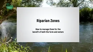 Managing riparian zones on your farm