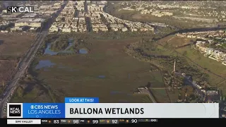 Ballona Wetlands | Look At This!