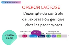 OPÉRON LACTOSE : Régulation de l'expression génique chez les procaryotes | Biochimie Facile