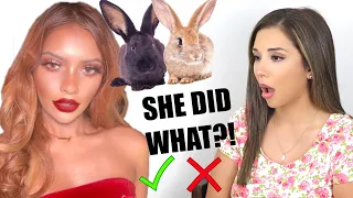 PET YOUTUBER REACTS: ANNCY TWINKLE RABBIT CARE