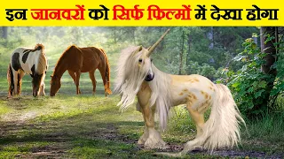 ये रहस्यमयी जानवर सचमुच इस दुनिया में मौजूद हैं  | Mythical creatures that exist in wild