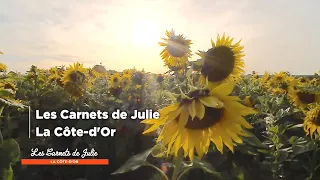 La Côte d’Or - Les Carnets de Julie