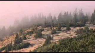 Strážca divočiny - ukážka z filmu
