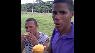 Qué Rico Mango 🥭 Welinton es el Campeón 🏆