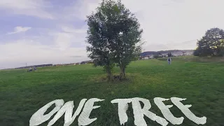 How to Freestyle a boring Tree - FPV Freestyle